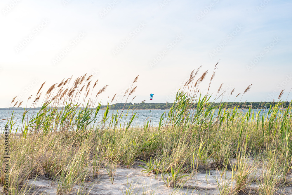 Kite surfer in between the reeds Kite surfer in between the reeds