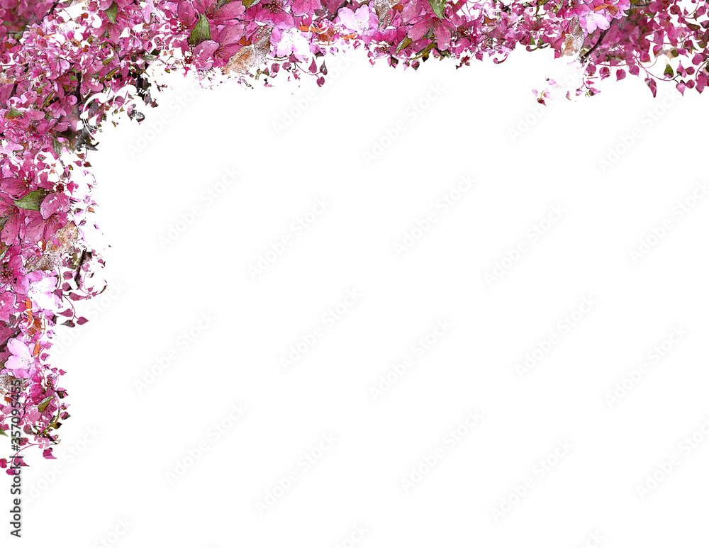 Obraz premium Floral boarders