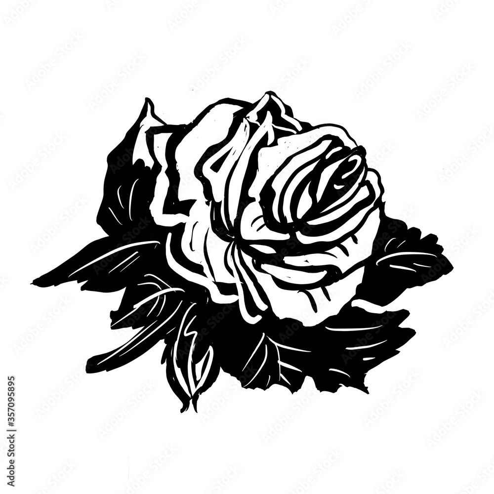 black and white rose