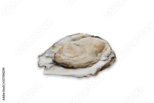 Fresh oyster on white background