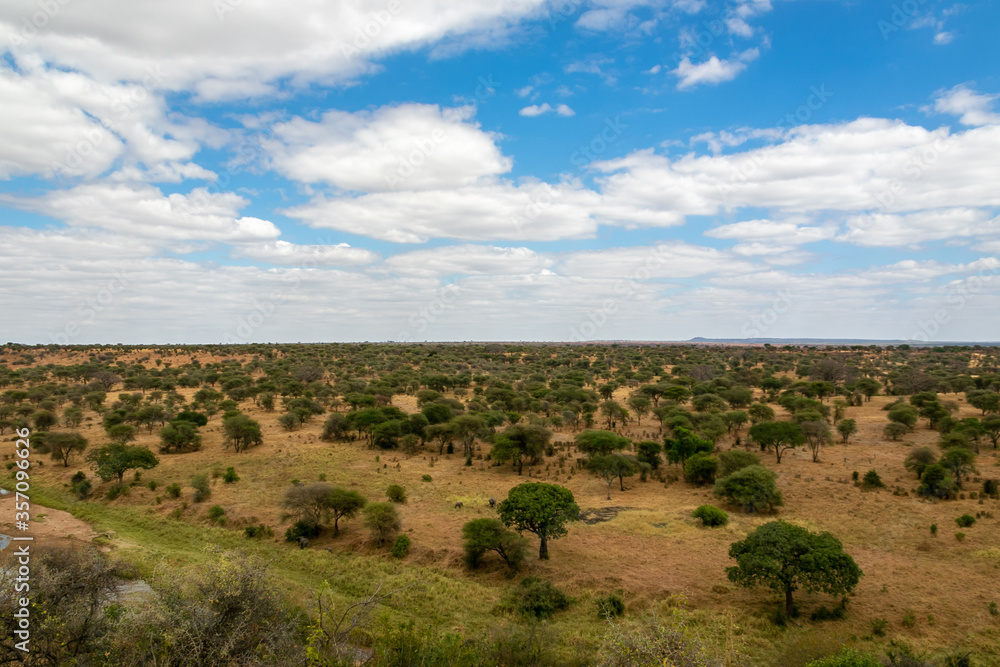 タンザニア・タランギーレ国立公園の丘から眺める青空と地平線