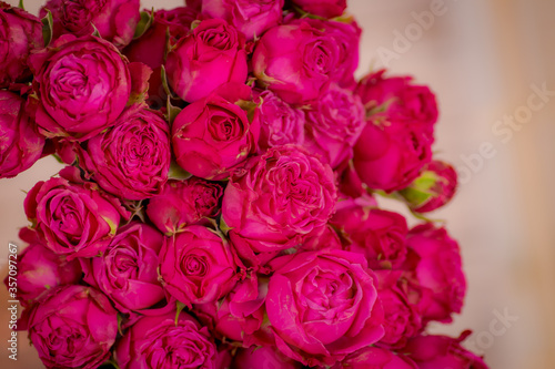 Close up shot of Classic Sensation roses variety bouquet  studio shot.