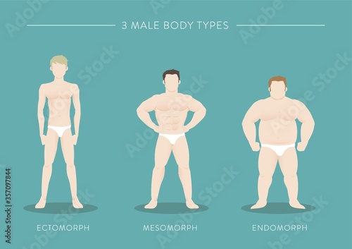 three male body types photo