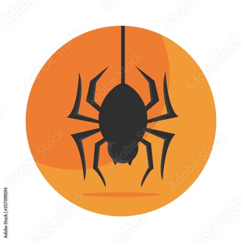 spider