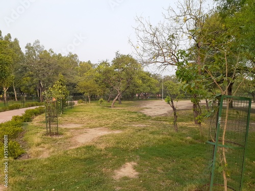 rural landscape with fence