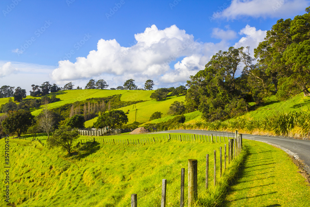Panoramic View of Scandrett Regional Park, Auckland New Zealand