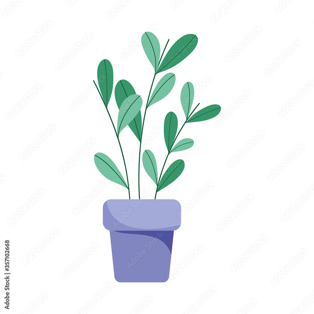 potted plant decoration isolated icon design white background
