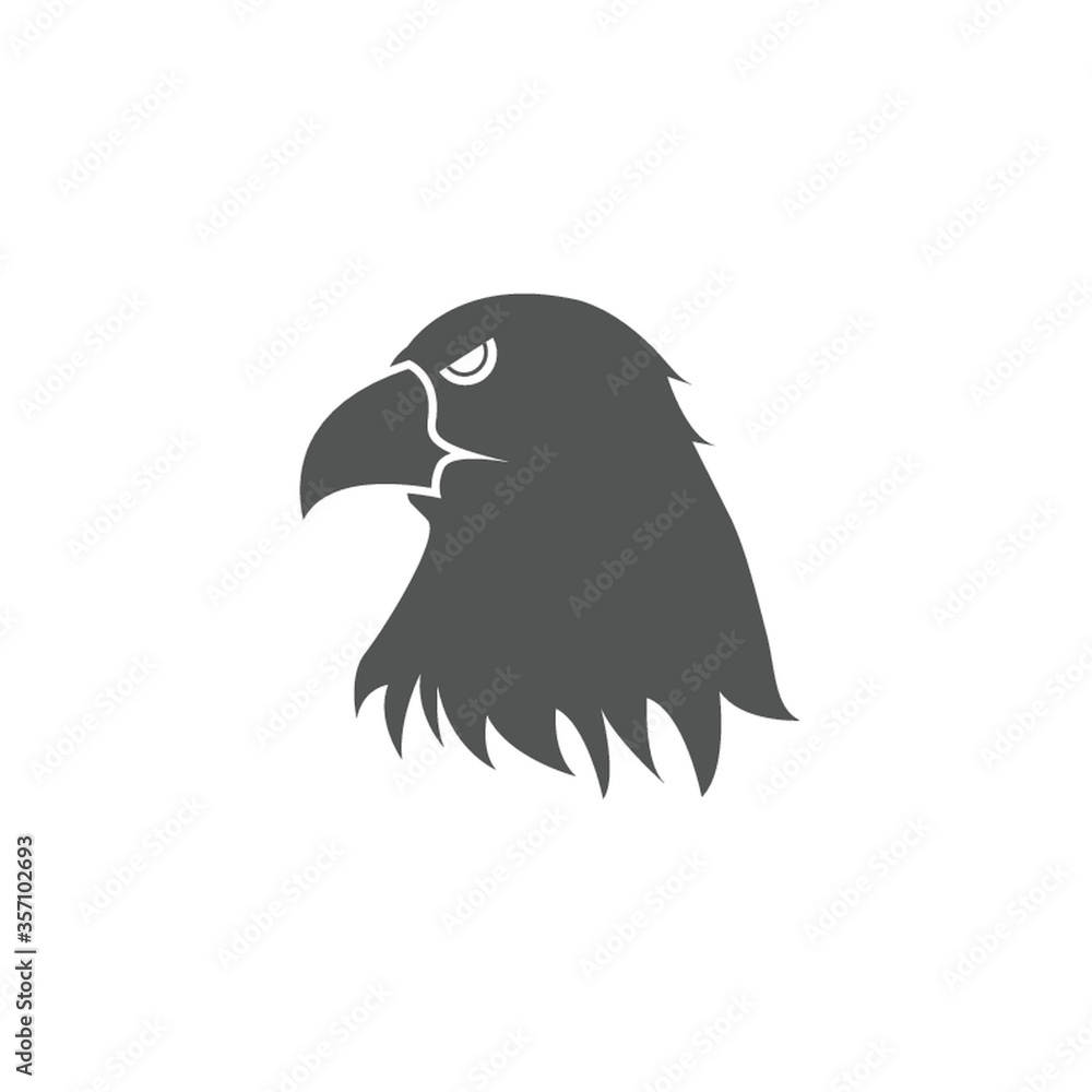 Fototapeta premium eagle