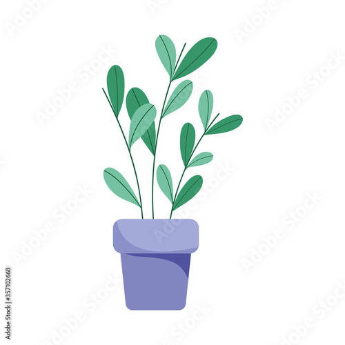 potted plant decoration isolated icon design white background