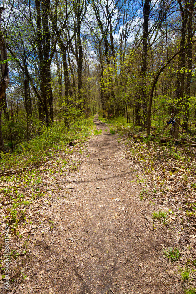 Fototapeta premium Hiking trail in Shenipsit Reservoir in Tolland, Connecticut.