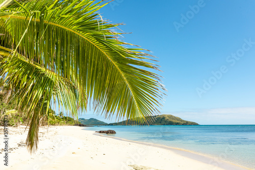Palm tree on a white sandy beach © Adrienne