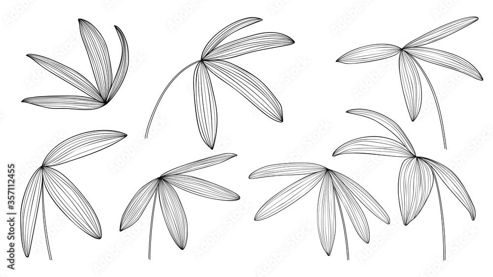 Exotic tropical leaf hand drawn vector. Botanical leaves black and white engraved ink art. Design for fabric, textile print, wrapping paper, fashion, interior design and cover.