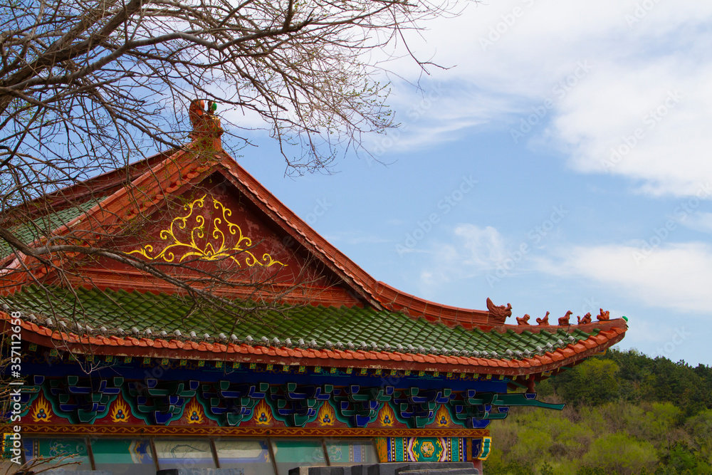 An Asian architecture pavilion roof and tree branches
