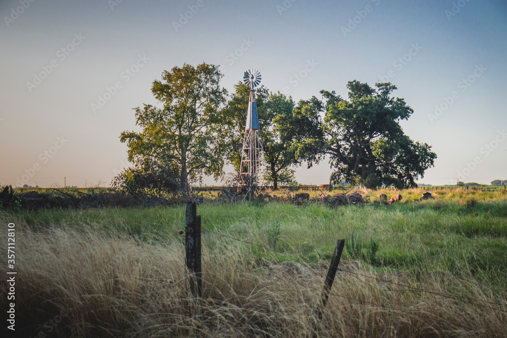 windmill next to the trees in a field