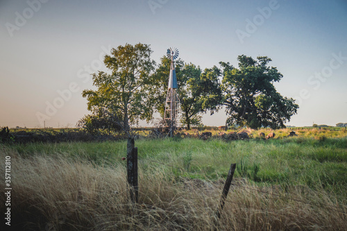Obraz na płótnie windmill next to the trees in a field w salonie
