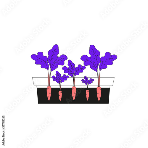 Carrots in a pot vector illustration