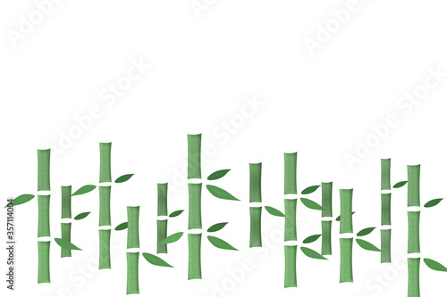 Bamboo forest illustration. 竹林のイラスト
