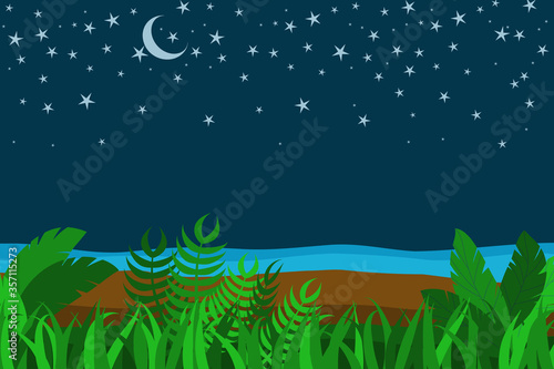 Tropical summer night scene with grass, plants,, sand, sea shore, Moon and stars, copy space for text.