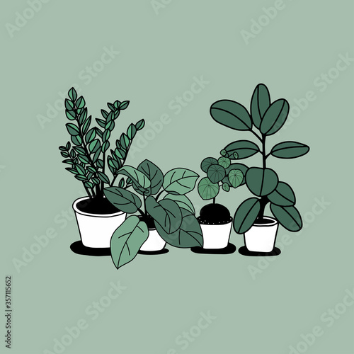Hand drawn house plants in pots. 