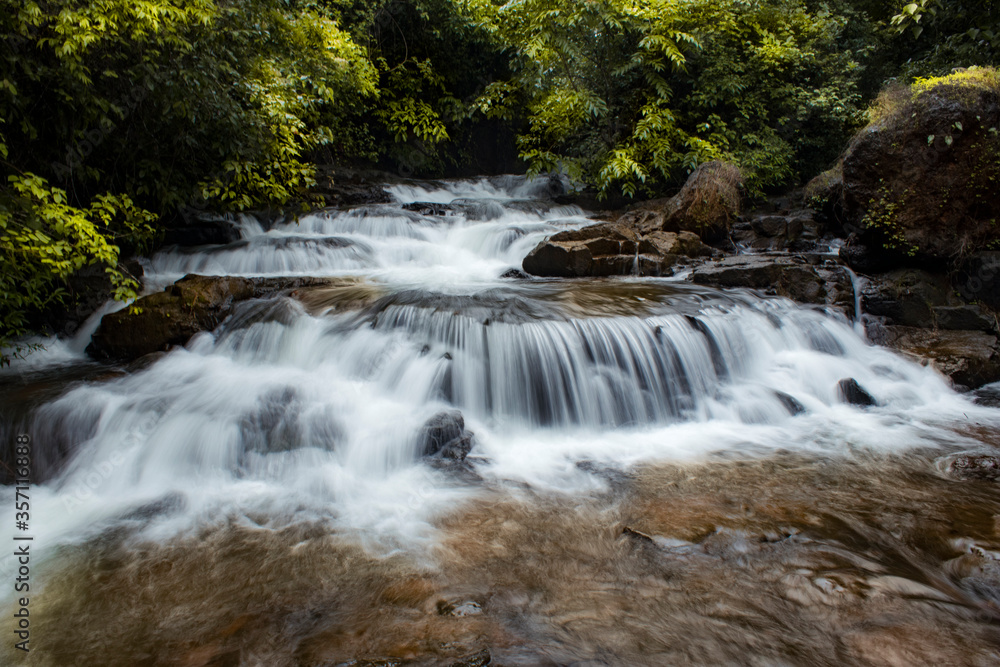 small waterfall in the forest