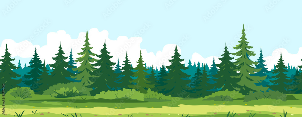Path along spruce forest with big green trees game background tillable horizontally, tourist route near the dense spruce forest and bushes in summer sunny day nature illustration background