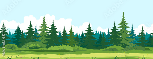 Path along spruce forest with big green trees game background tillable horizontally, tourist route near the dense spruce forest and bushes in summer sunny day nature illustration background