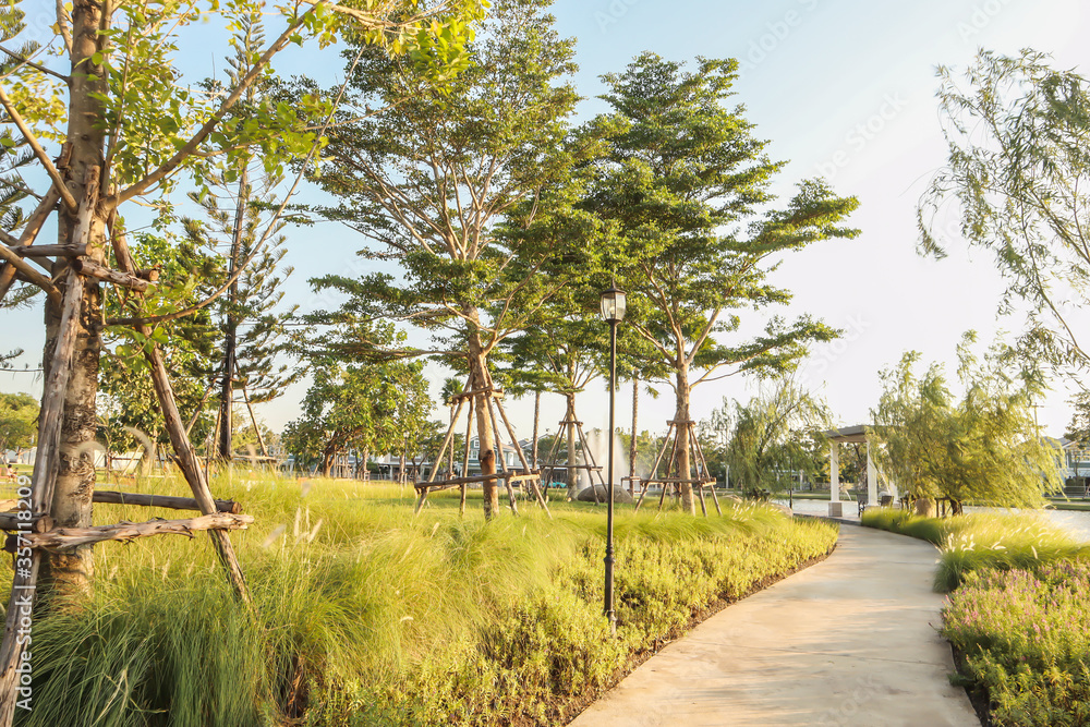Fototapeta premium Beautiful natural outdoor landscape image of curved path in peaceful public garden with trees,lake,gazebo,shrubs and grass on freshness warm summer evening blue sky background.