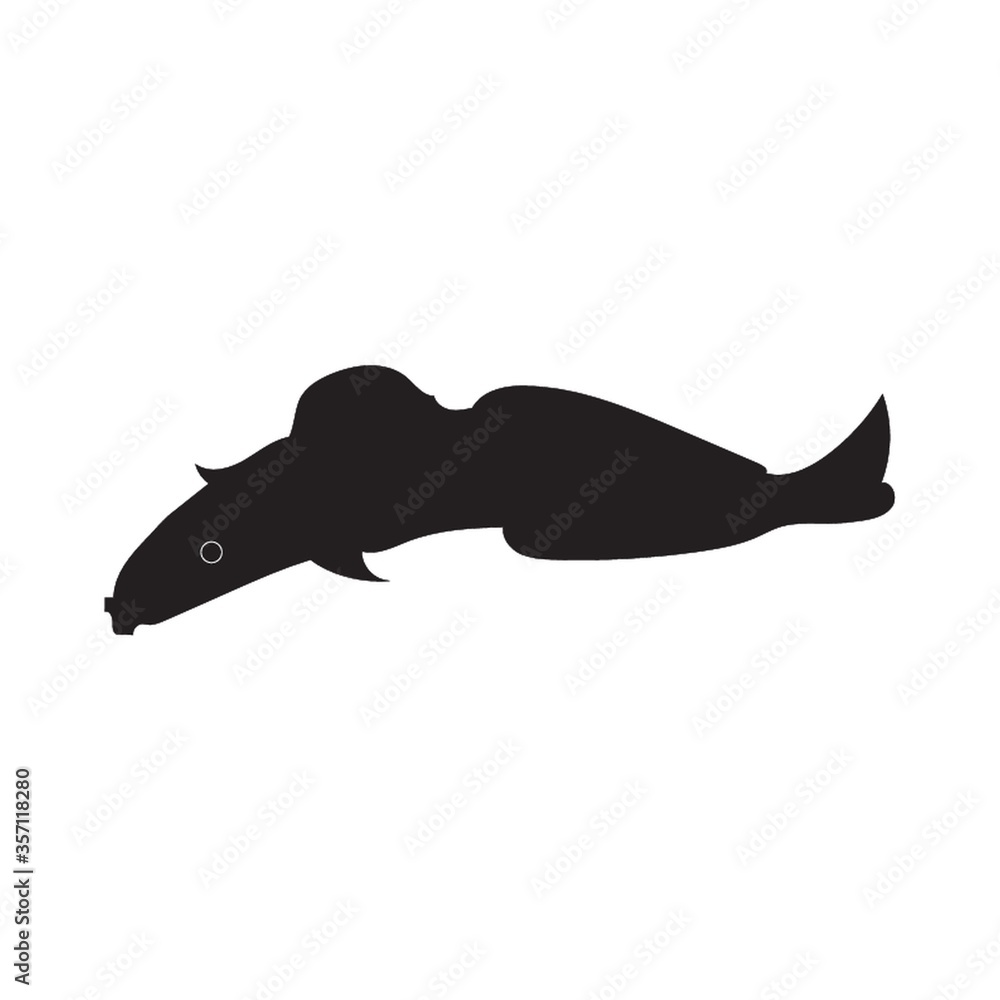 Obraz premium silhouette of fish