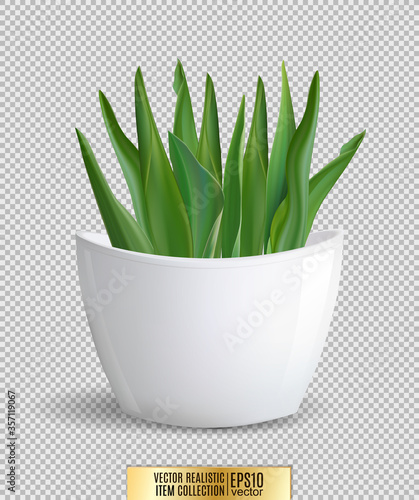 White flowerpot. Isolated on white background