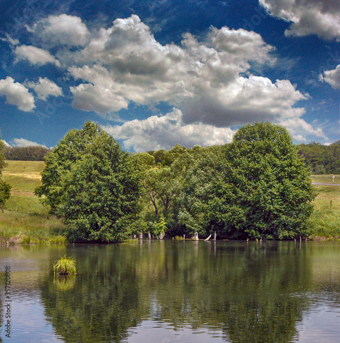 lake and trees