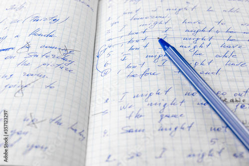 Sheets of school student notebook scribbled with a blue ballpoint pen.