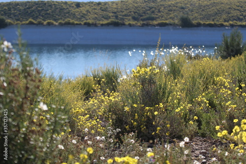 Naturaleza tranquila