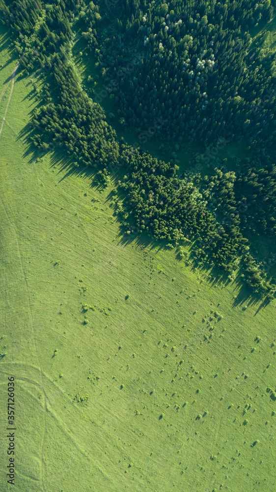 Aerial top: mountain forest, texture of meadow view from above. Drone's Eye - tree green background. high-quality back for design and layout, the concept of summer meadows bordering an array of trees Aerial top: mountain forest, texture of meadow view from above. Drone's Eye - tree green background. high-quality back for design and layout, the concept of summer meadows bordering an array of trees