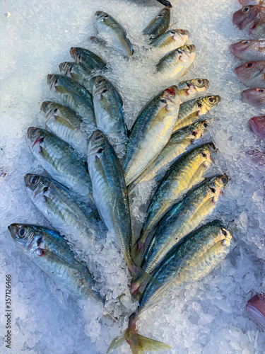 Vertical photo of frozen fish in ice at the seafood market