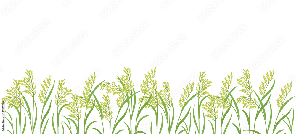 Rice Plant Harvest Vector