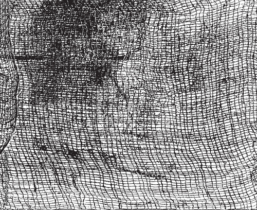 Grunge texture of soft gauze cotton fabric. Abstract monochrome background of coarse crumpled fabric. Vector illustration.