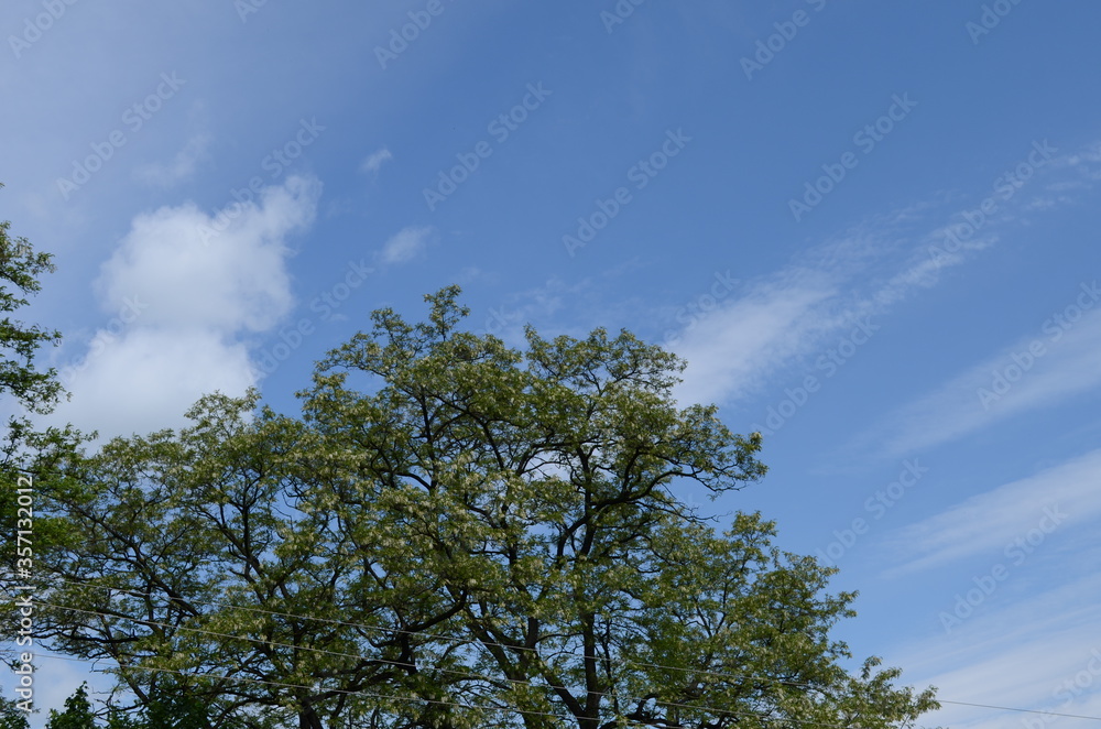 Obraz premium Blue sky with clouds and sun.