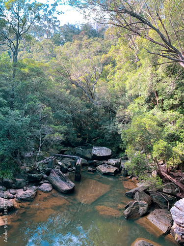 river in the forest with moss covered rocks
