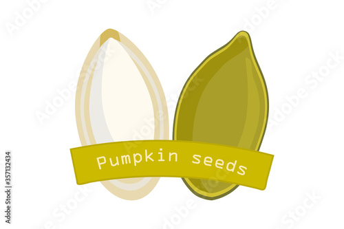 Pumpkin seeds icon isolated on white background. Whole and peeled pumpkin seeds in cartoon style for template label, packing and emblem farmer market design. Delicious healthy vegan snack.Stock vector