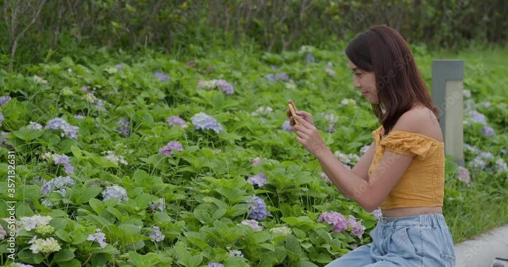 Woman take photo on cellphone in flower field