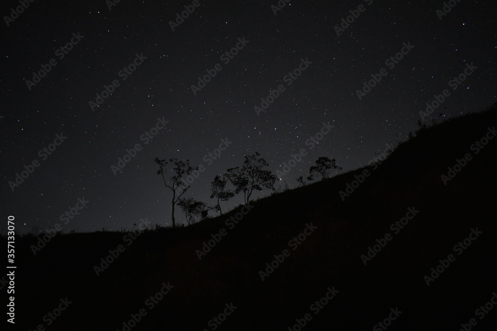 Naklejka premium NOCHE DE ESTRELLAS