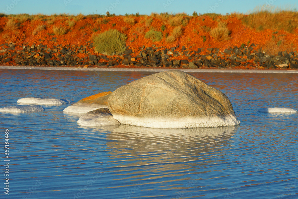 Pilbara Grey Rock Swimming in Salt Flat Mines Pilbara Grey Rock Swimming in Salt Flat Mines