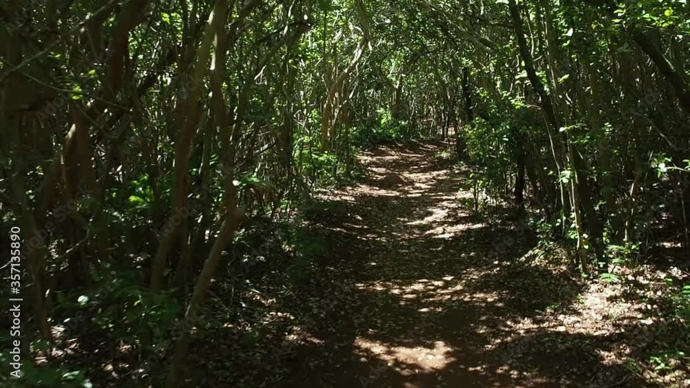 Walsingham Nature Reserve is one of Bermudas gems with trails, and small bodies of water in land that is connected to the sea by underwater caves. Walsingham Nature Reserve is one of Bermudas gems with trails, and small bodies of water in land that is connected to the sea by underwater caves.