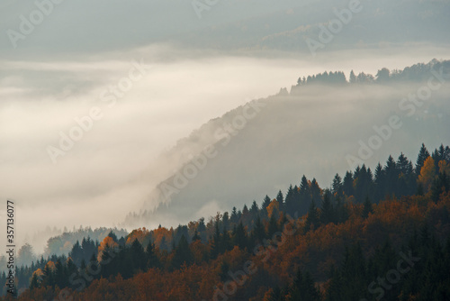 Morning mist in the mountain. Autumn scene.