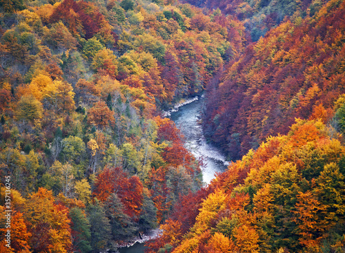 Tara canyon in Montenegro. Autumn scene