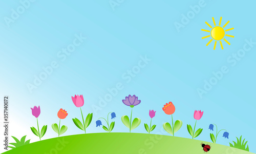 Campo con flores de colores.