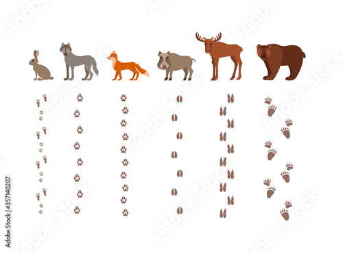 Forest animals with foot prints cartoon style colorful vector illustration