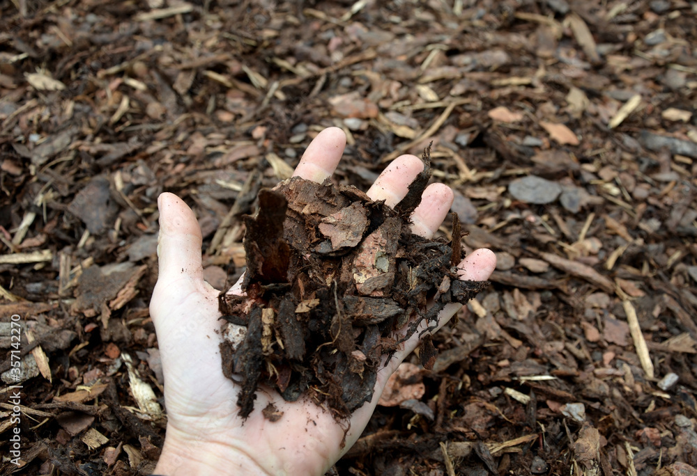 Foto de mulch bark from pieces of pine and spruce to prevent weeds from