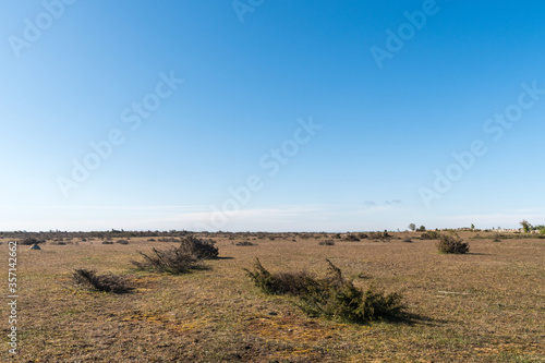 Great wide open barren landscape with junipers