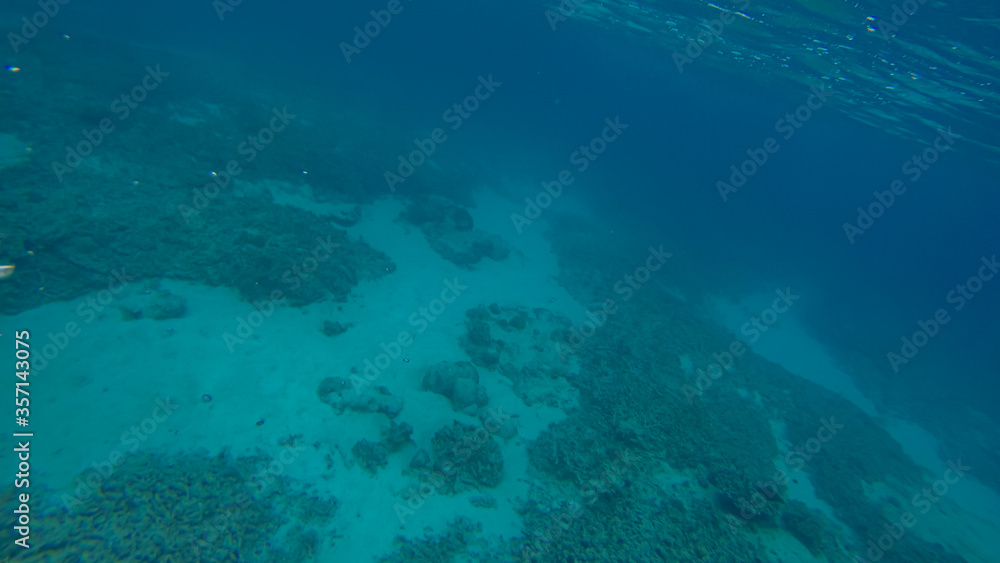 Fototapeta premium Panoramic scene under water and blue background